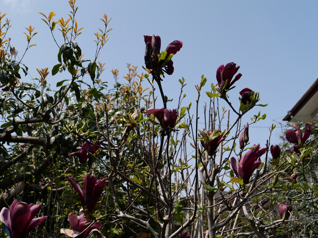 2025-04-07 12_22№(0085).JPG