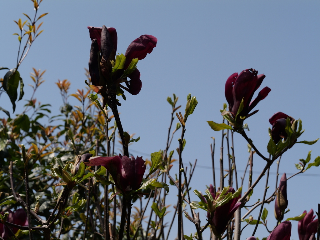 2025-04-07 12_22№(0086).JPG