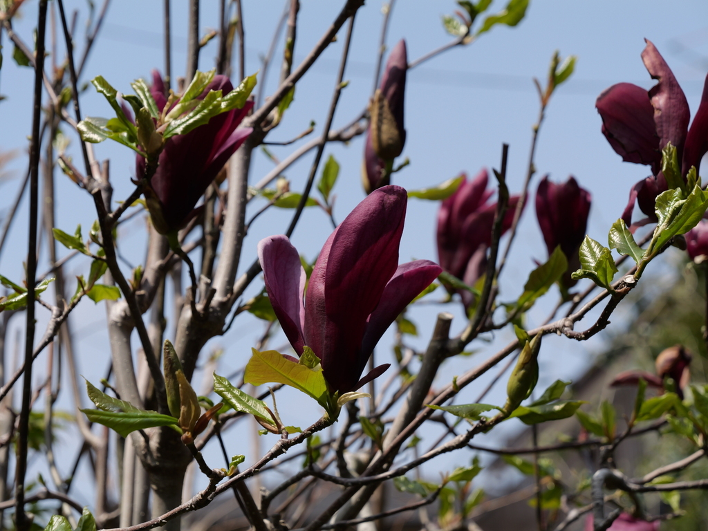 2025-04-07 12_22№(0087).JPG