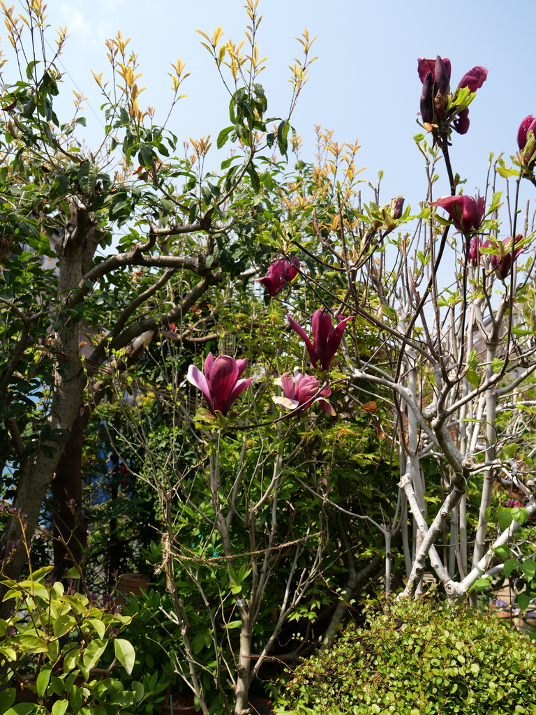 2025-04-07 12_22№(0090).JPG