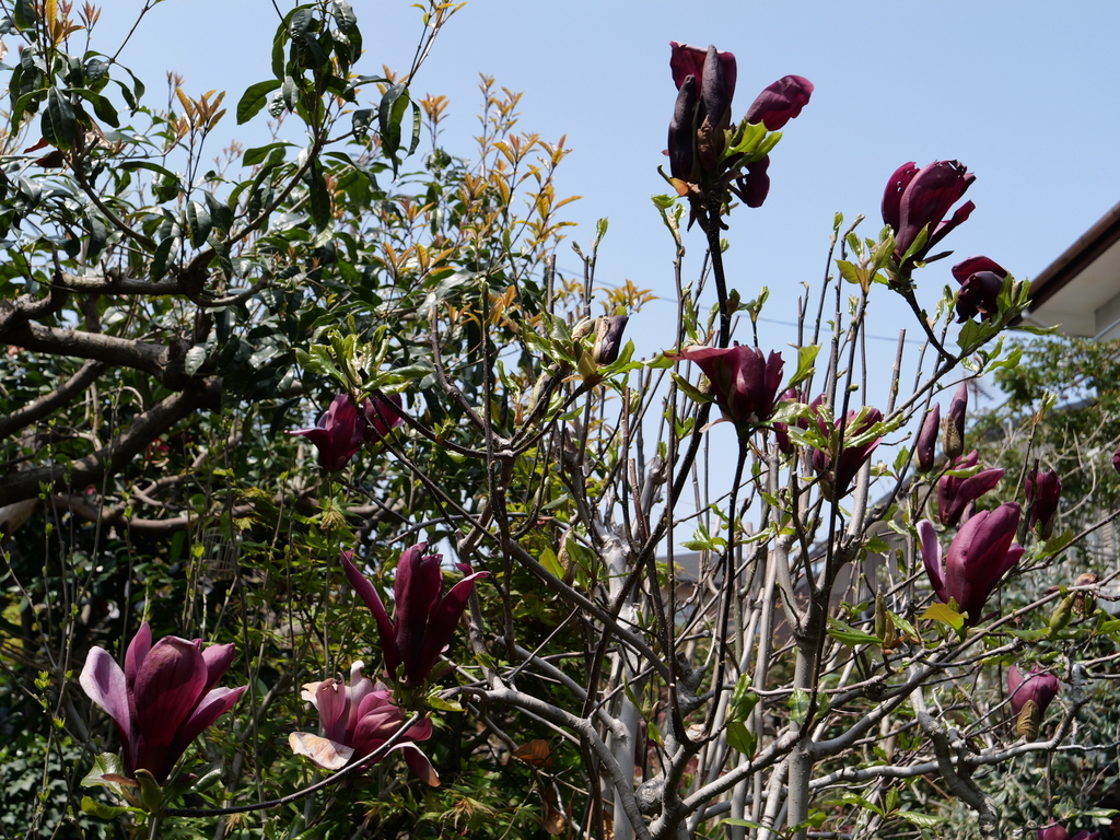 2025-04-07 12_22№(0094).JPG