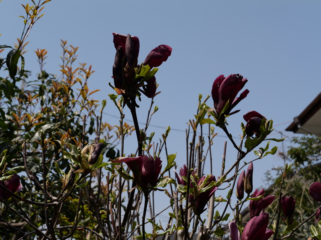 2025-04-07 12_22№(0095).JPG