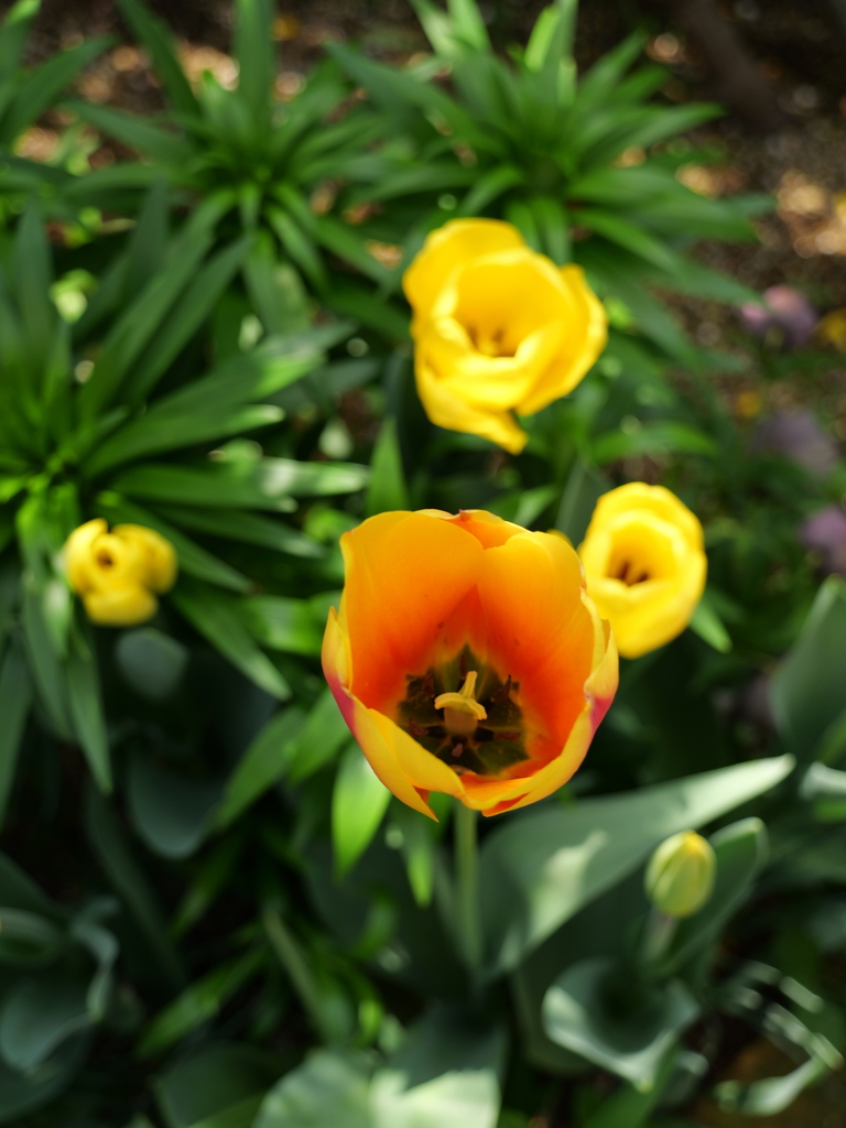 2025-04-07 12_22№(0100).JPG