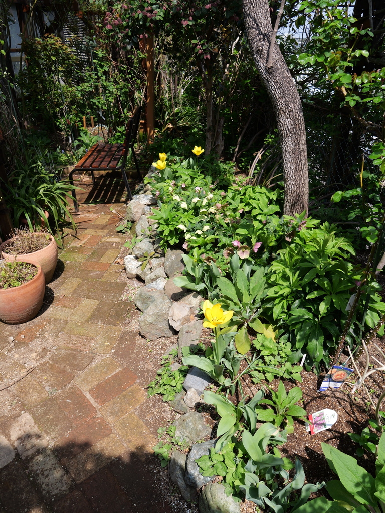 2025-04-07 12_23№(0123).JPG