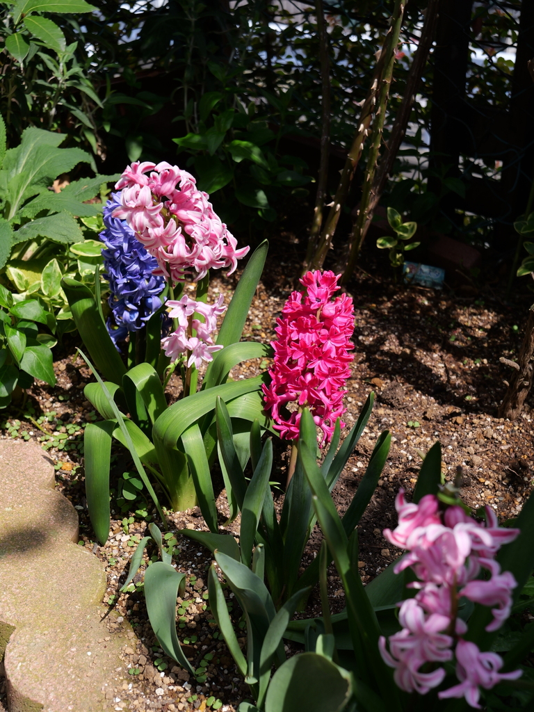 2025-04-07 12_24№(0144).JPG