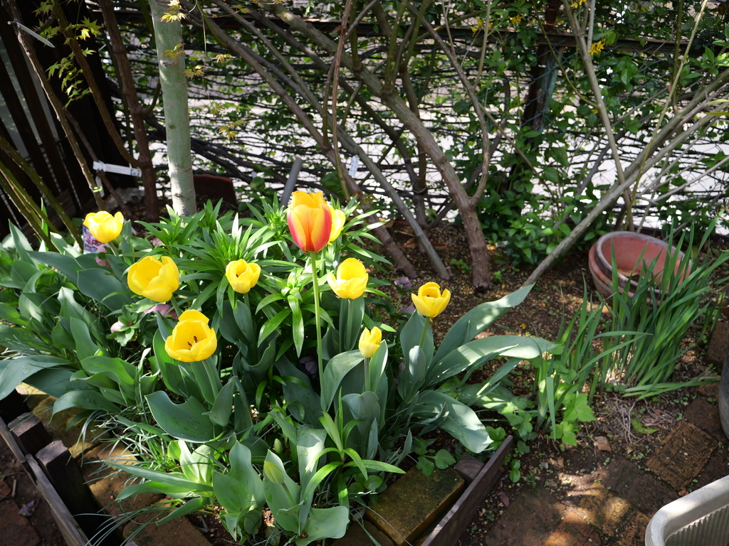 2025-04-08 09_19№(0012).JPG