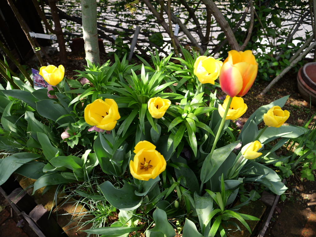 2025-04-08 09_20№(0013).JPG