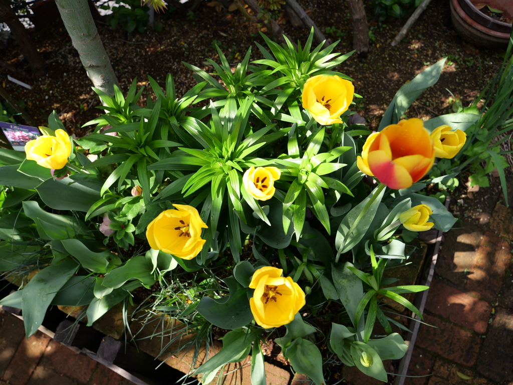 2025-04-08 09_29№(0063).JPG