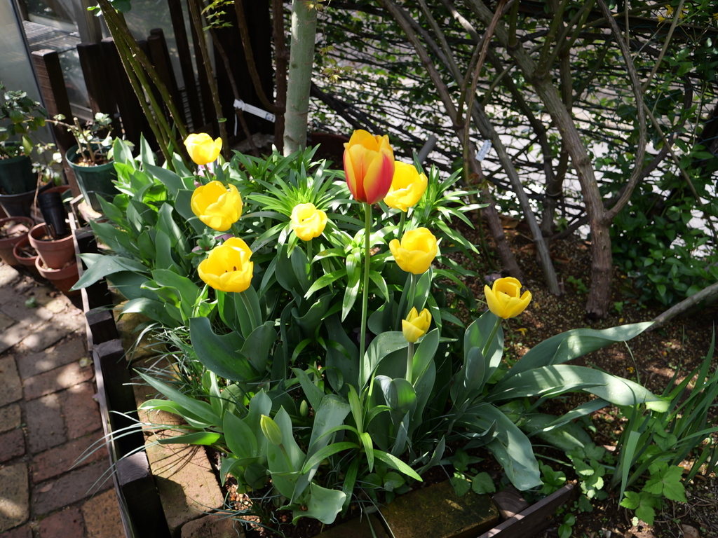 2025-04-08 09_29№(0068).JPG