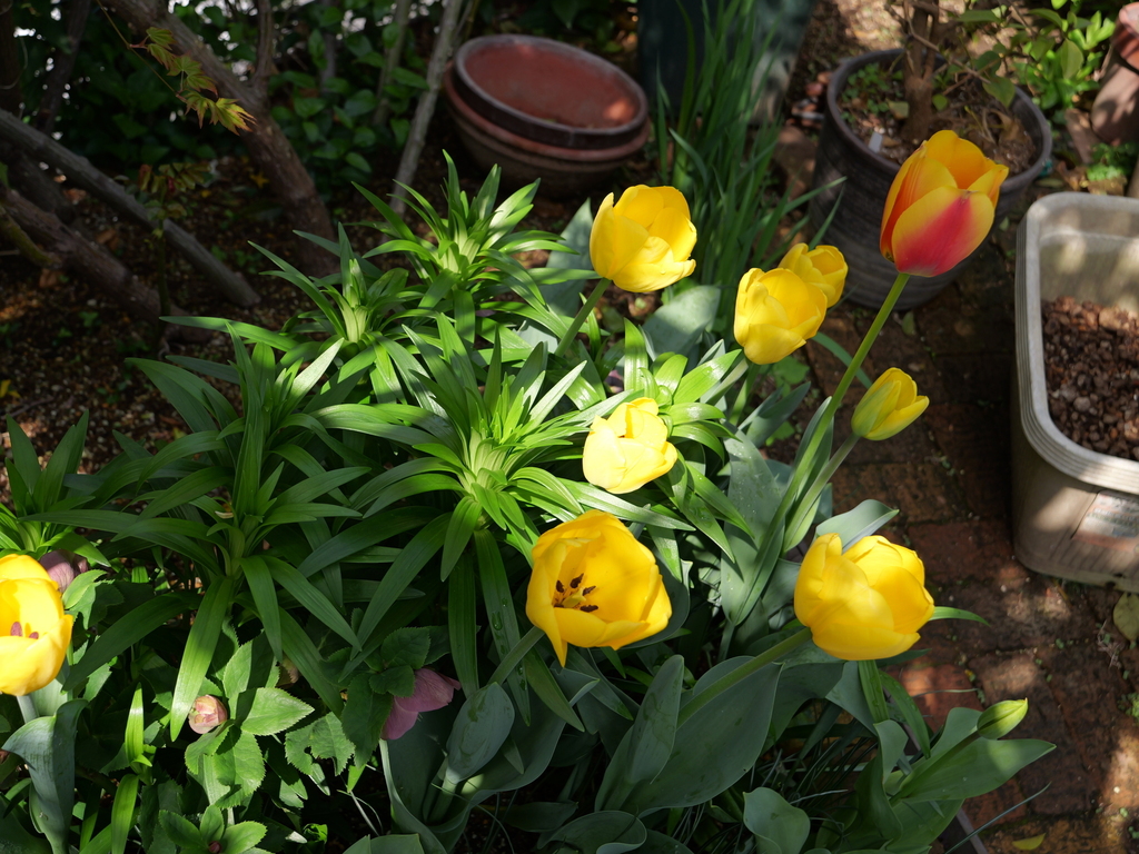 2025-04-08 09_29№(0072).JPG