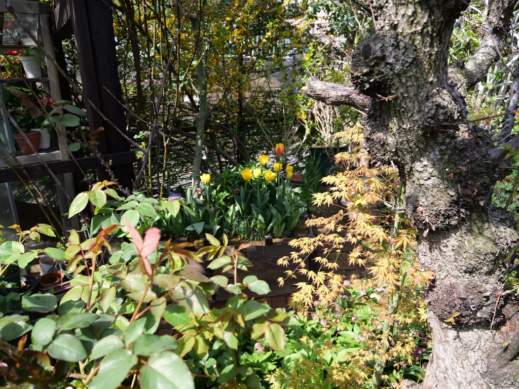 2025-04-08 09_29№(0074).JPG