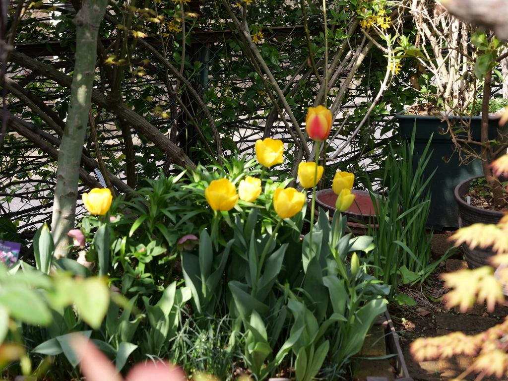 2025-04-08 09_29№(0076).JPG