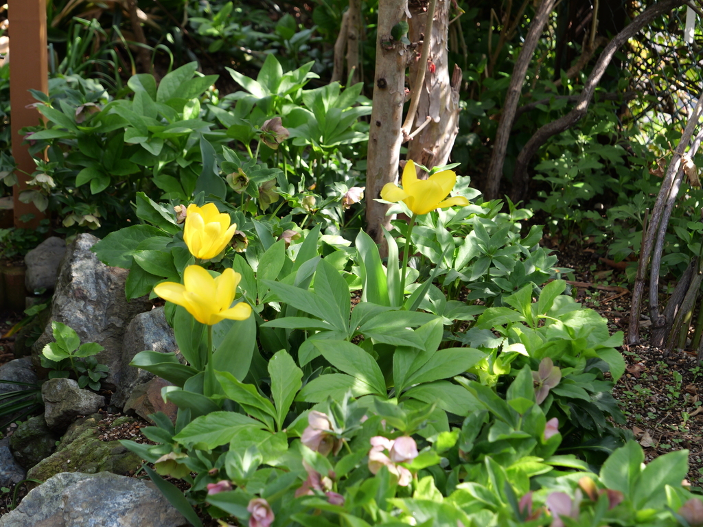 2025-04-08 09_29№(0084).JPG