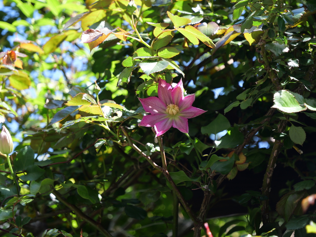 2025-04-16 10_29№(0141).JPG