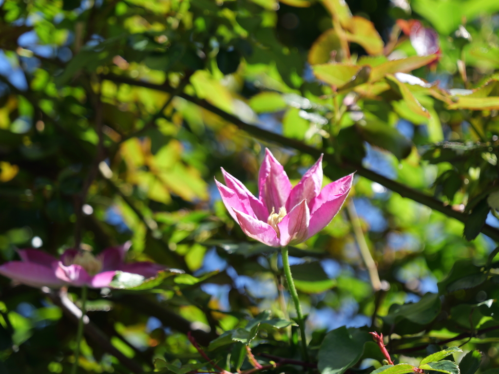 2025-04-16 10_29№(0143).JPG