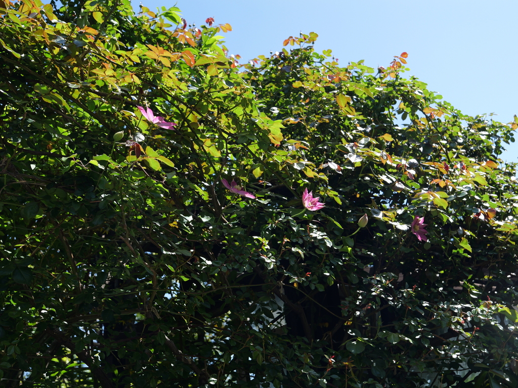 2025-04-16 10_29№(0144).JPG