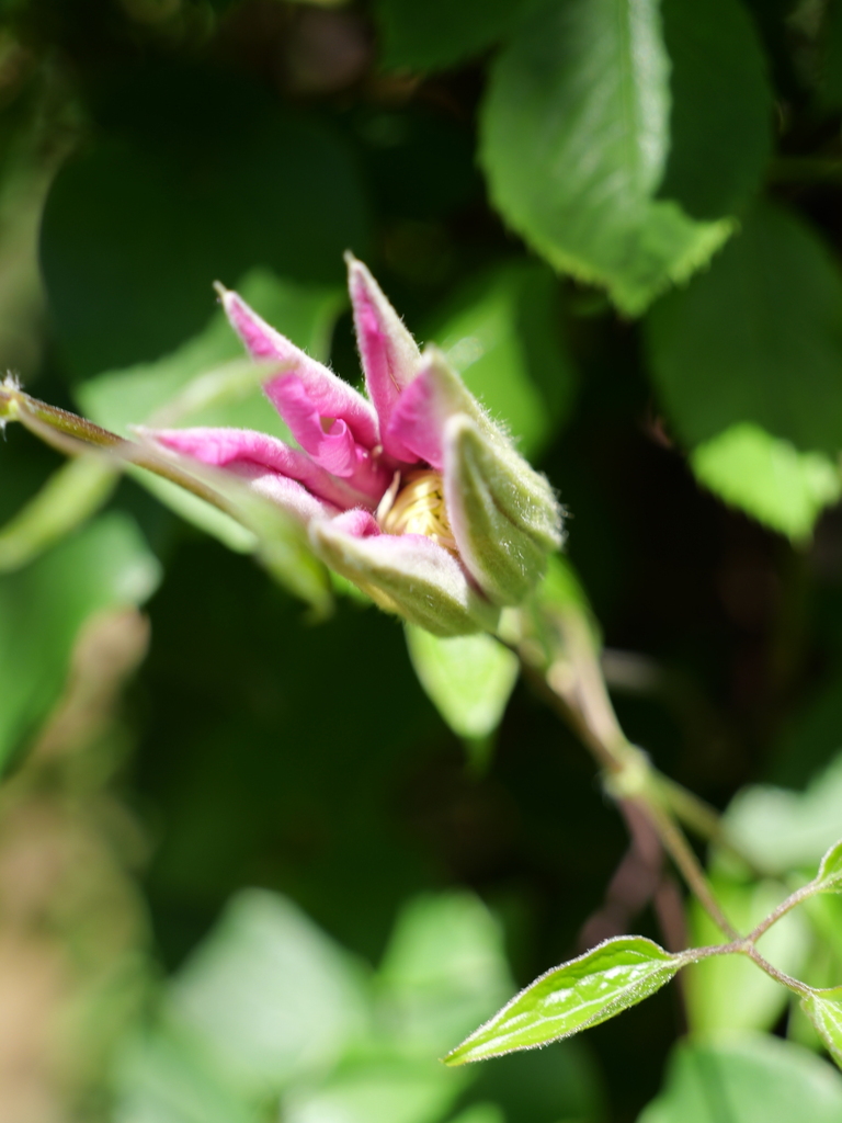 2025-04-16 10_32№(0161).JPG