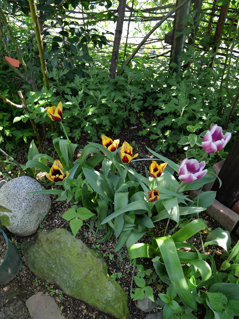 2025-04-16 10_33№(0166).JPG