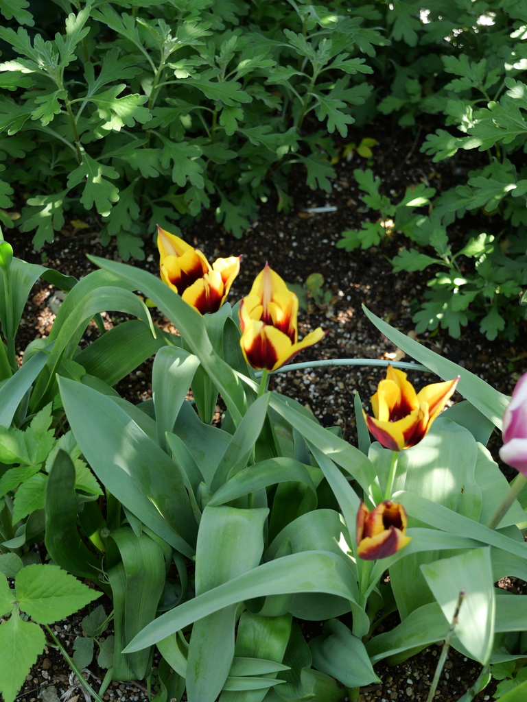 2025-04-16 10_33№(0167).JPG