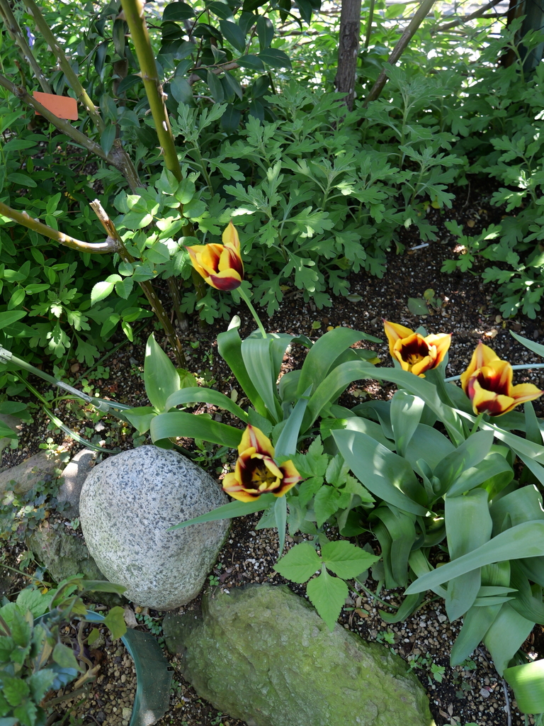 2025-04-16 10_33№(0169).JPG