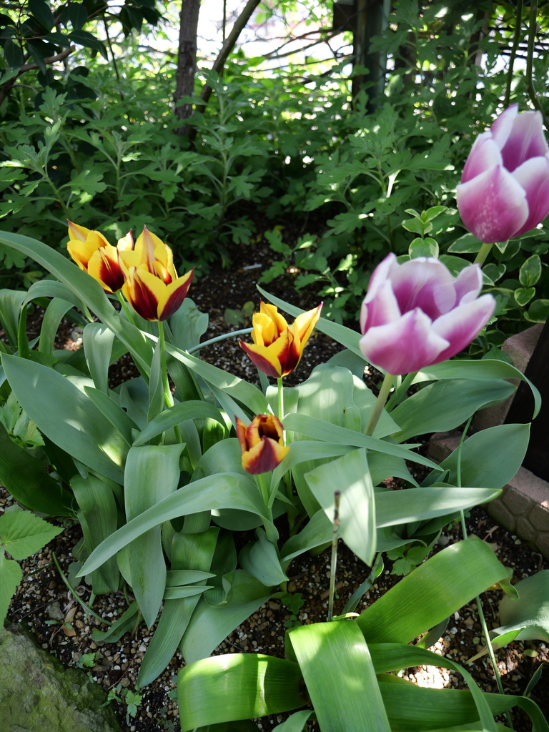 2025-04-16 10_33№(0170).JPG