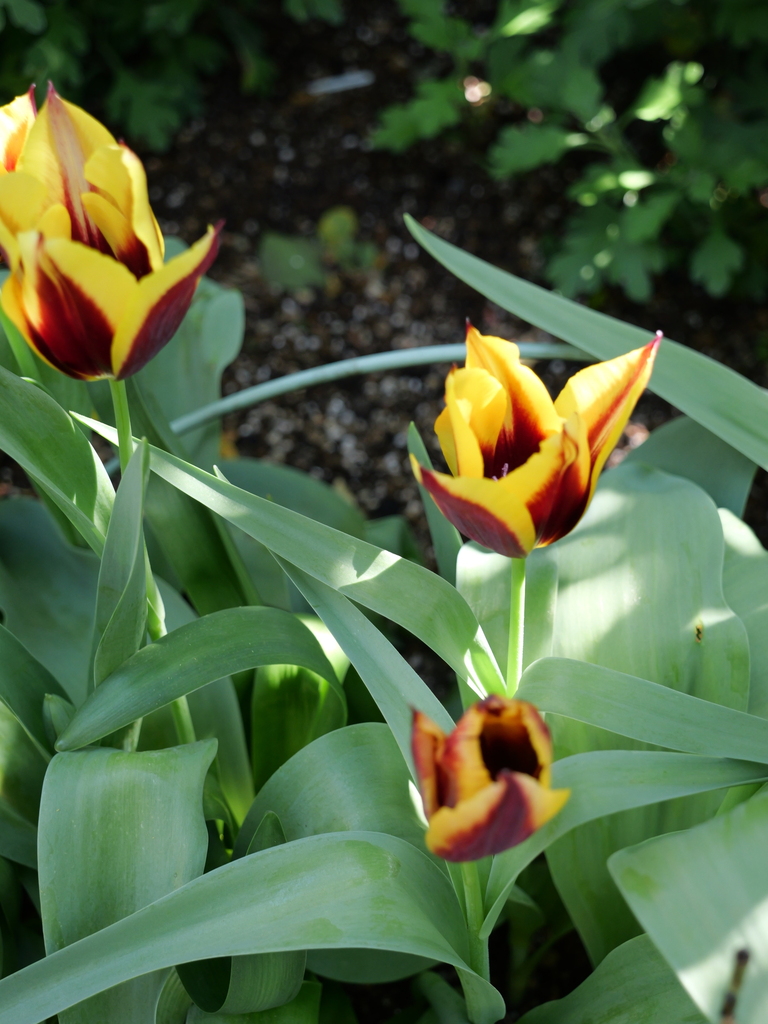 2025-04-16 10_33№(0172).JPG