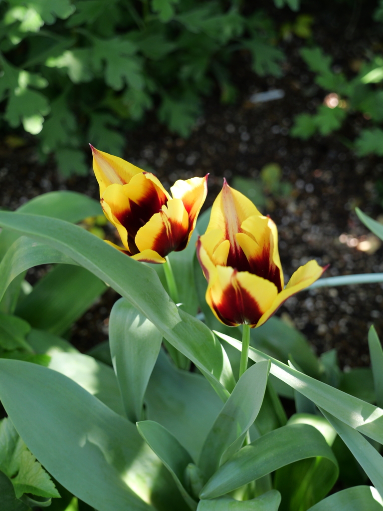 2025-04-16 10_33№(0173).JPG