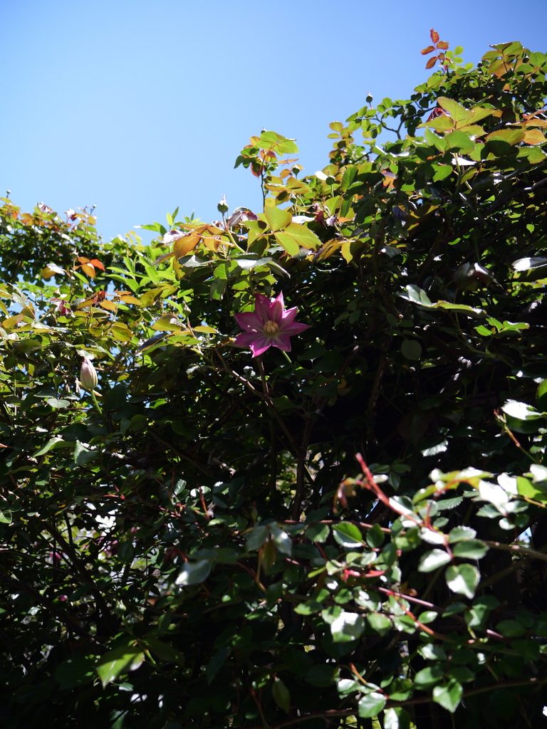 2025-04-16 10_39№(0182).JPG