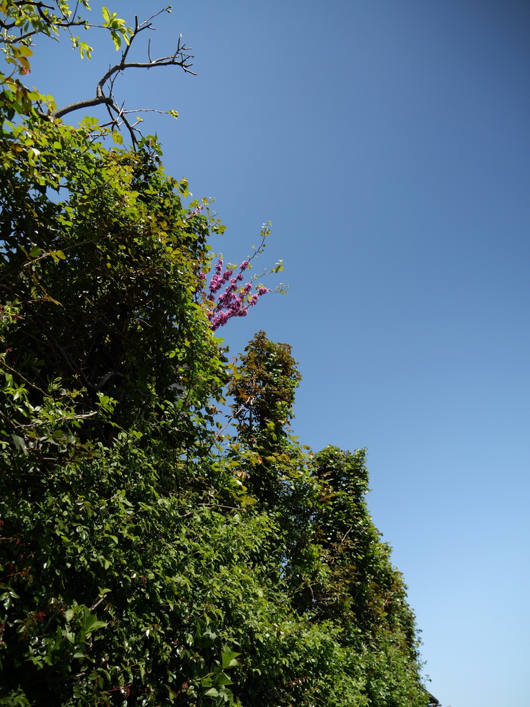 2025-04-16 10_41№(0186).JPG