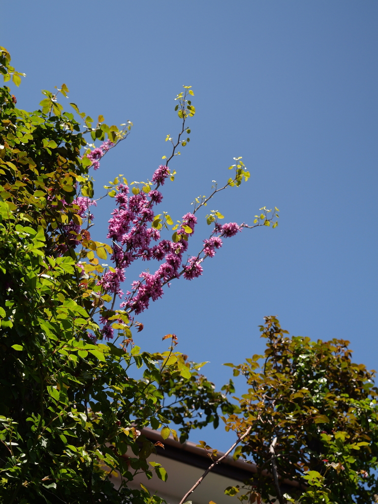 2025-04-16 10_42№(0189).JPG