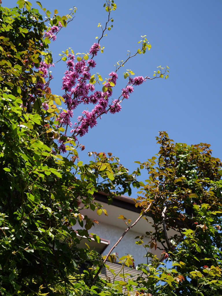 2025-04-16 10_43№(0191).JPG