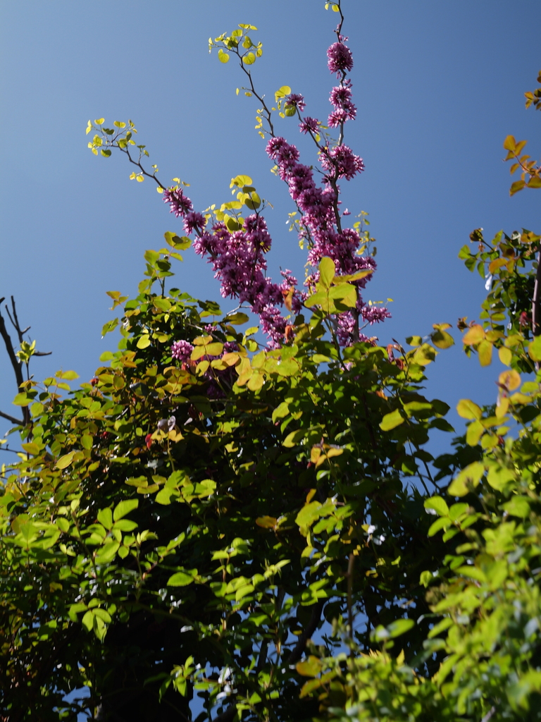 2025-04-16 10_43№(0193).JPG