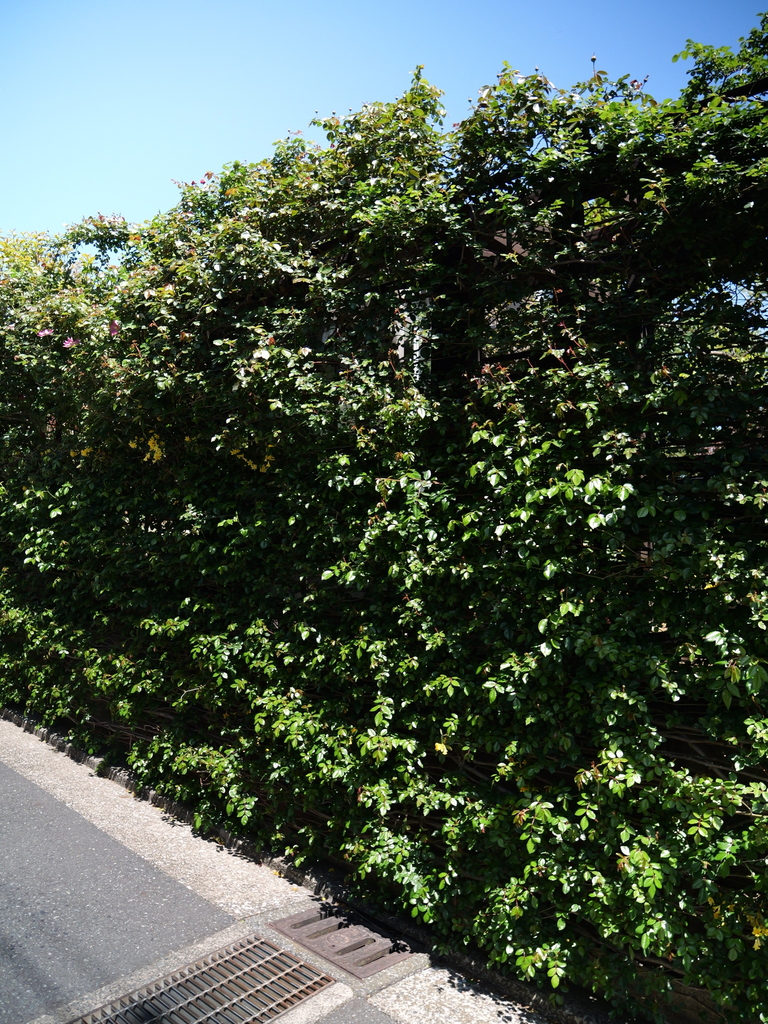 2025-04-16 10_44№(0194).JPG