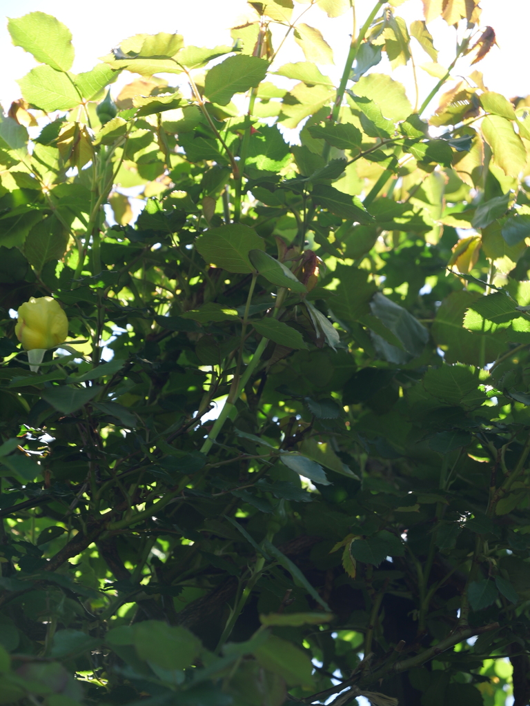 2025-04-16 10_51№(0213).JPG