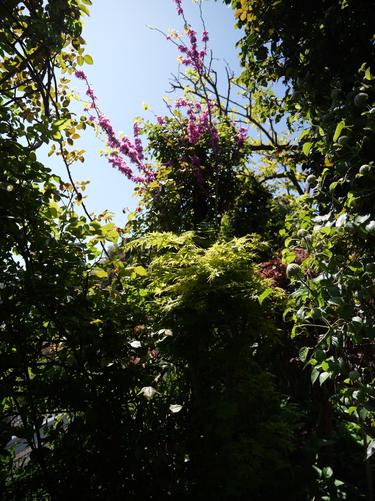 2025-04-16 10_52№(0215).JPG