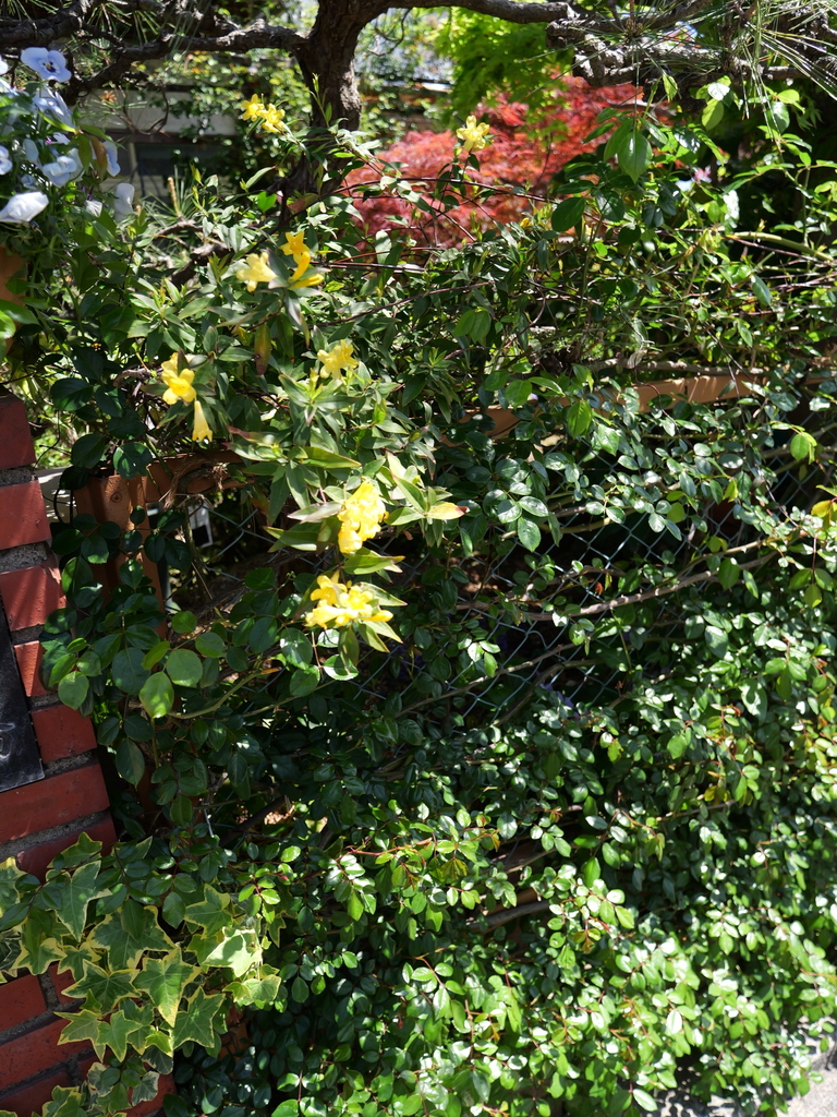 2025-04-16 10_54№(0223).JPG
