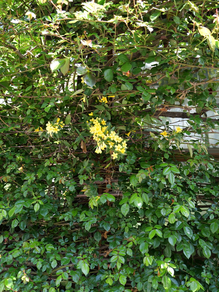 2025-04-16 10_55№(0227).JPG