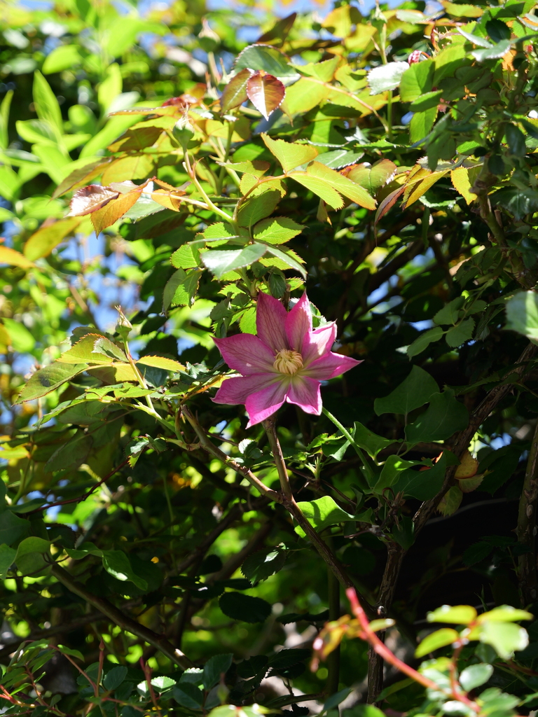 2025-04-16 10_55№(0231).JPG