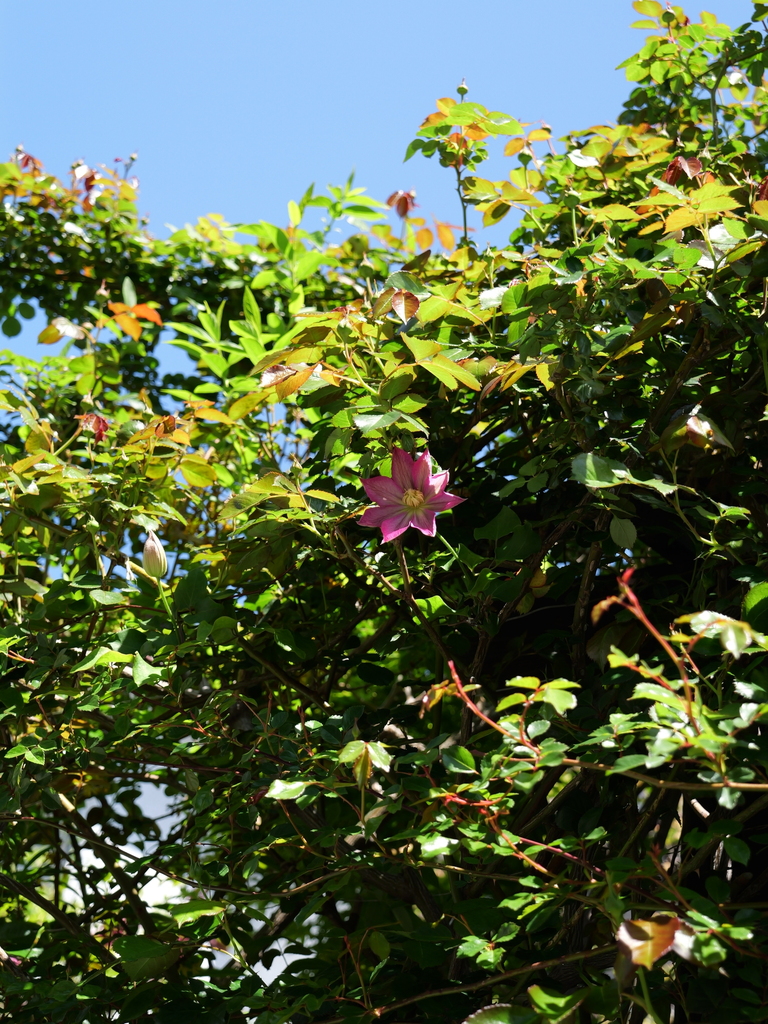 2025-04-16 10_55№(0232).JPG