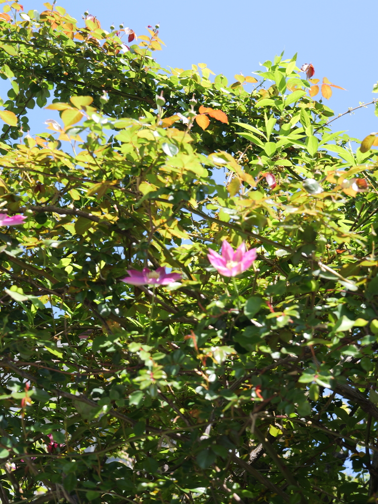 2025-04-16 10_55№(0233).JPG