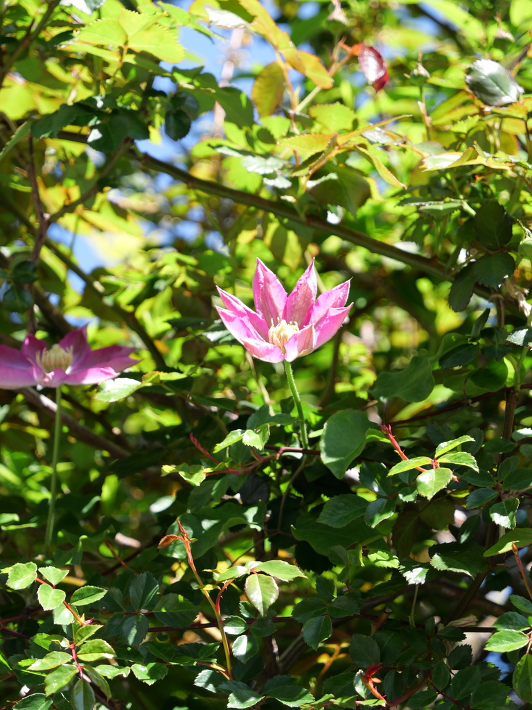 2025-04-16 10_55№(0235).JPG