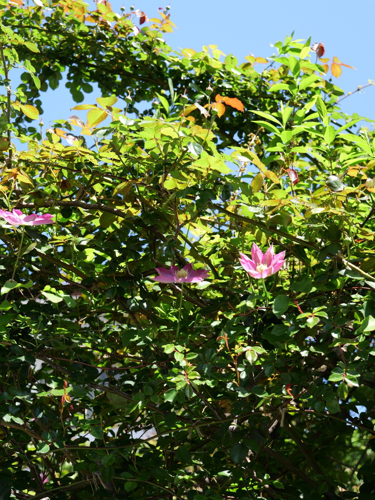 2025-04-16 10_55№(0236).JPG