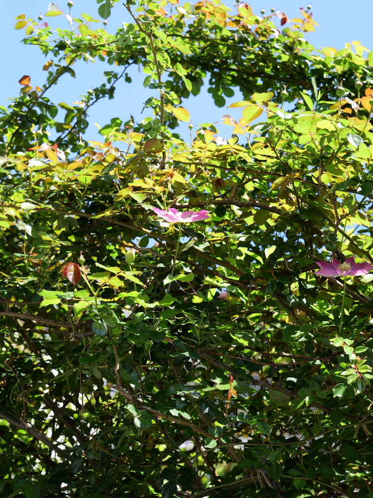 2025-04-16 10_55№(0237).JPG