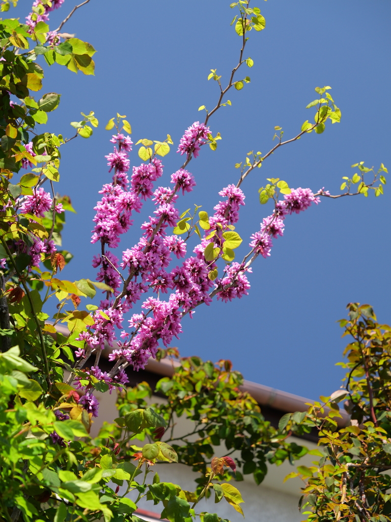 2025-04-16 10_55№(0240).JPG
