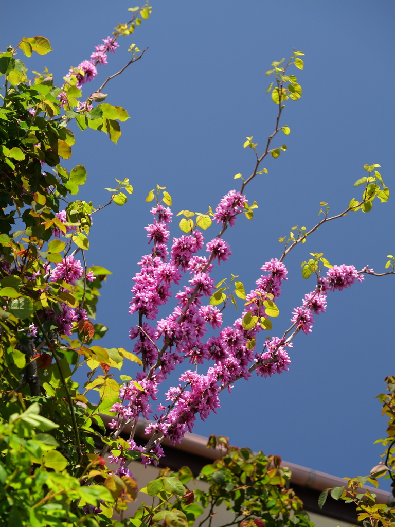 2025-04-16 10_55№(0241).JPG