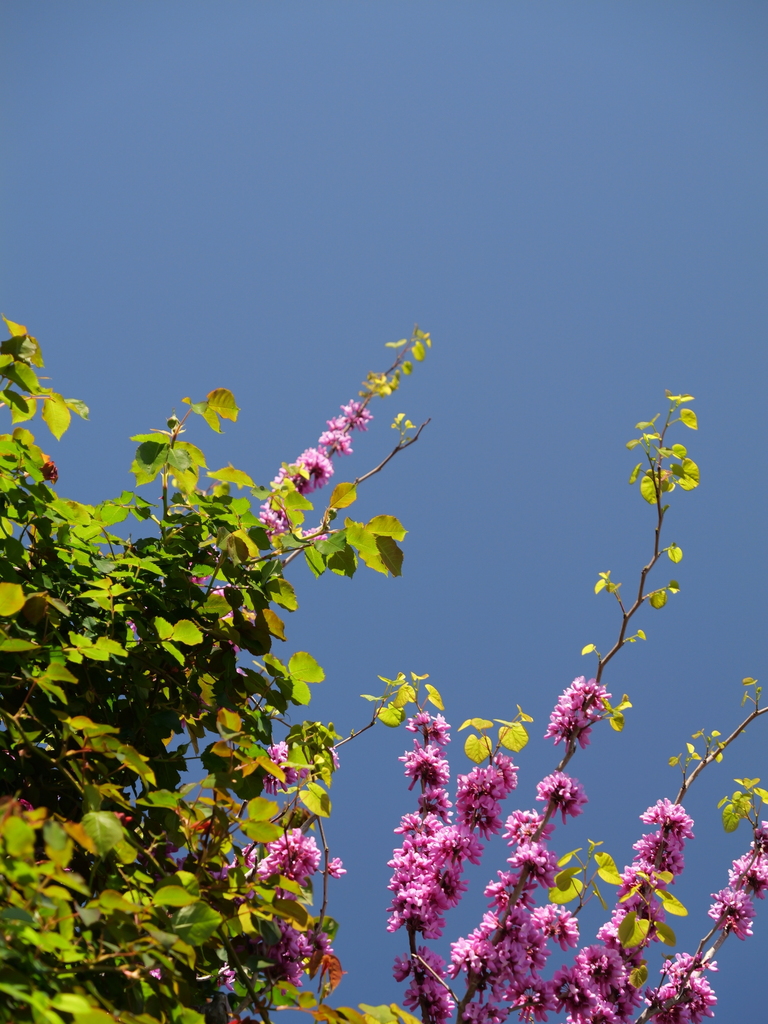 2025-04-16 10_55№(0242).JPG