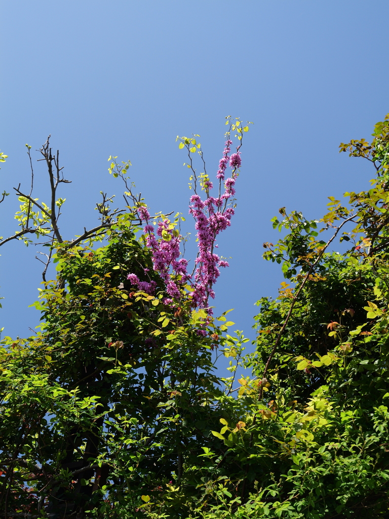 2025-04-16 10_55№(0244).JPG