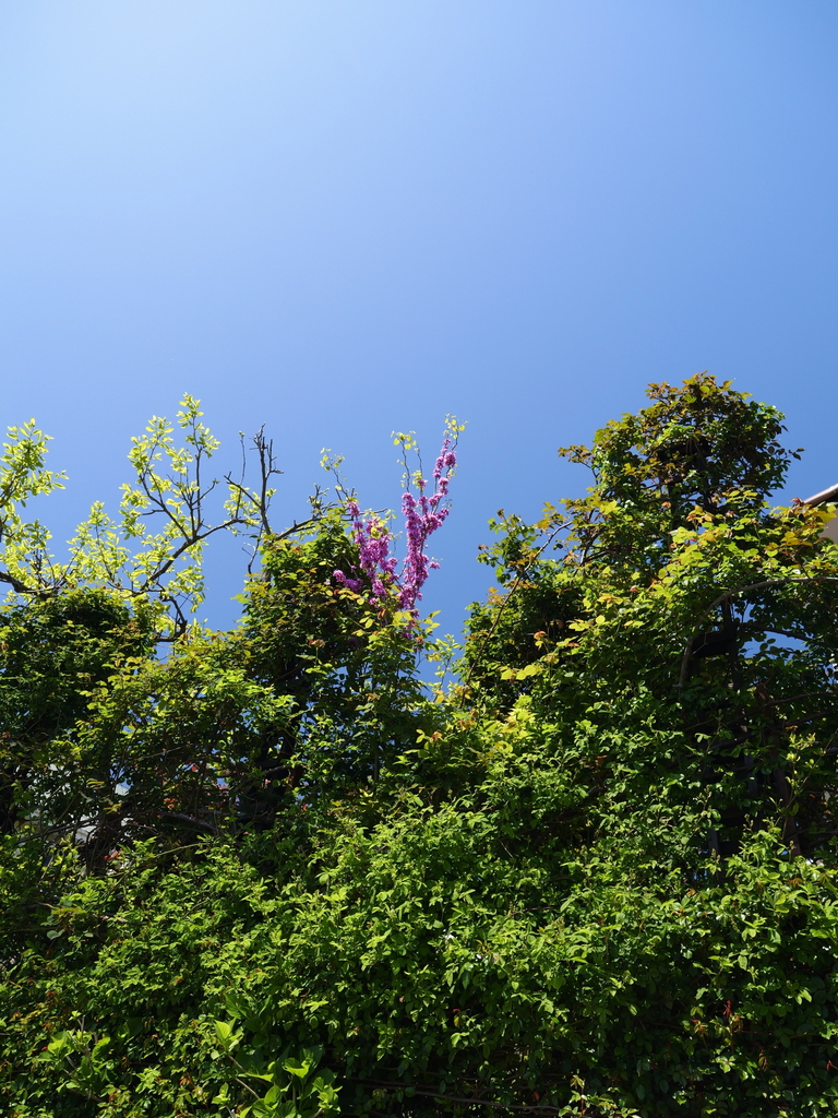 2025-04-16 10_55№(0245).JPG
