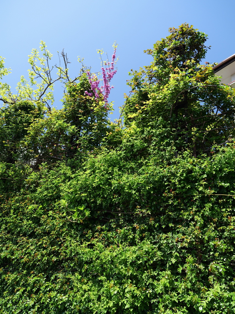 2025-04-16 10_55№(0246).JPG