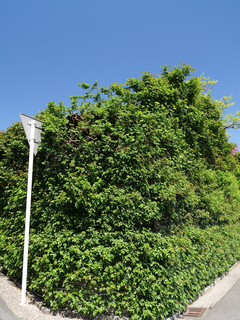 2025-04-16 10_55№(0248).JPG